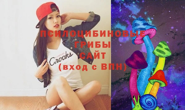 эйфоретик Баксан