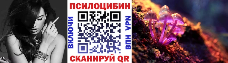 Псилоцибиновые грибы Psilocybe  где купить наркоту  Новая Ладога 
