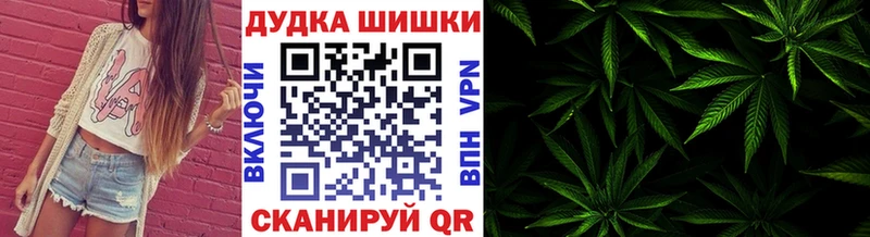 ссылка на мегу как зайти  цены наркотик  Новая Ладога  Канабис VHQ 
